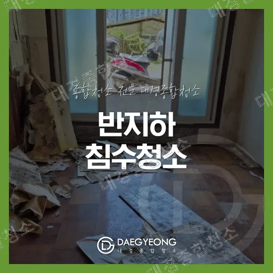 남동구 반지하 빌라 침수청소 비용 벽지제거 후 복원을 위한 작업 과정
