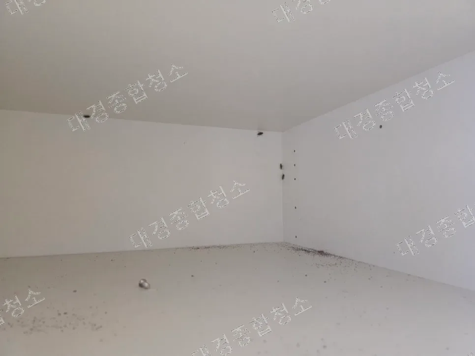 부평 반려동물 냄새제거 비용 바퀴벌레 제거까지 진행한 특수청소 방법