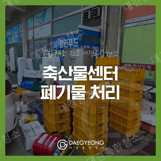 축산물센터 앞에 쌓인 노란 운반상자와 폐기물