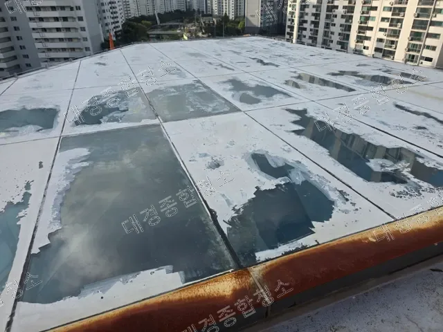 오염된 유리 캐노피