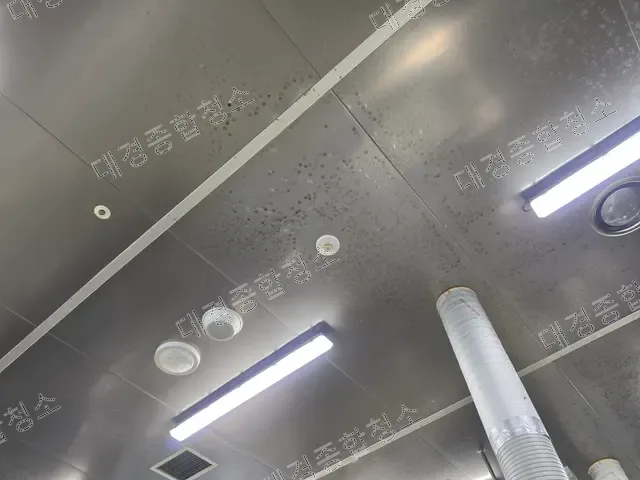 검은 오염 얼룩이 번진 스테인리스 천장 패널