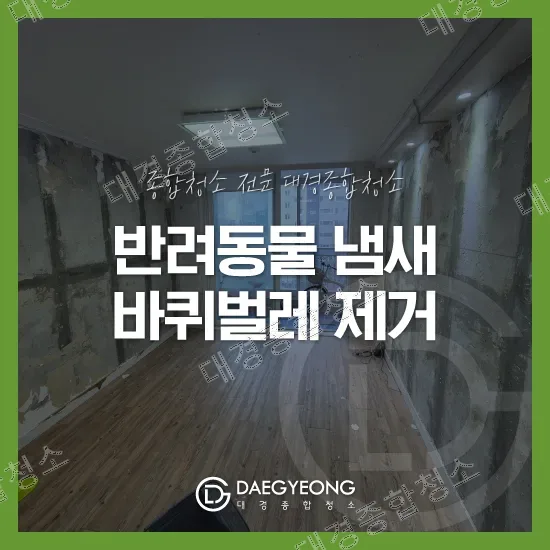 반려동물 냄새·바퀴벌레 제거 특수청소 대표 이미지