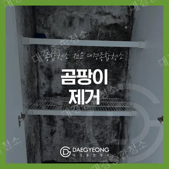 곰팡이 제거 작업사례 썸네일, 곰팡이 낀 붙박이 수납장 내부