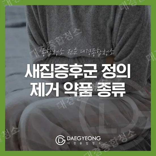 새집증후군의 정의와 제거를 위한 약품 알아보기