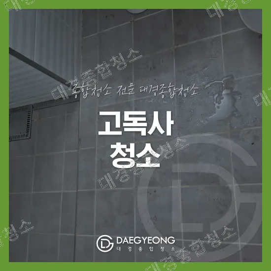 인천 고독사청소 가격 유품정리와 깔끔한 현장 복구 전문 특수청소 업체