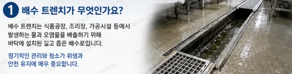 식품공장 청소|깨끗한 위생 관리를 위한 배수 트렌치 청소의 중요성