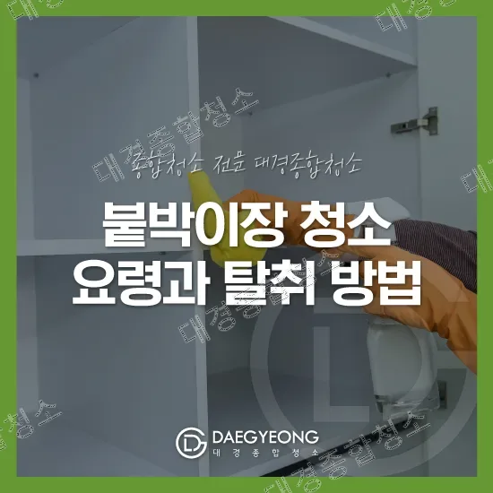 붙박이장 청소 요령과 탈취 방법 알아보기!