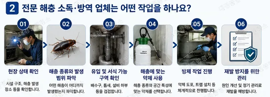 해충 소독·방역 업체의 역할, 식품공장·음식점 방역이 중요한 이유