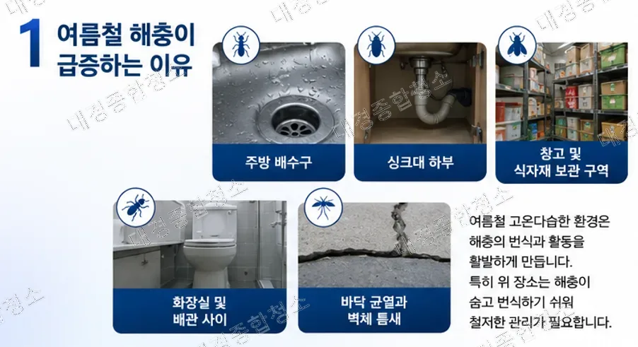 여름철 해충 방역|음식점부터 식품공장까지 관리가 필요한 이유