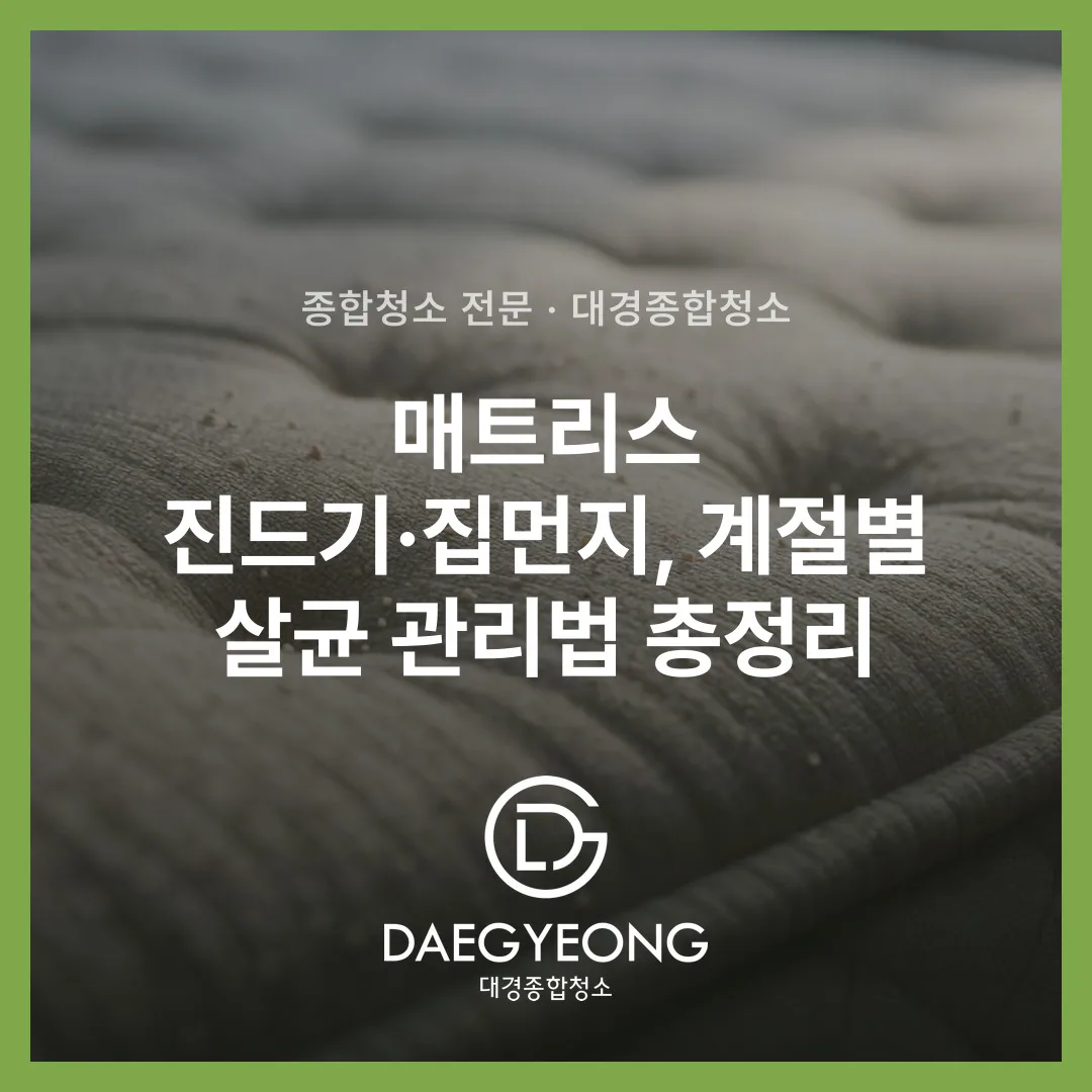 매트리스 진드기·집먼지, 계절별 살균 관리법 총정리