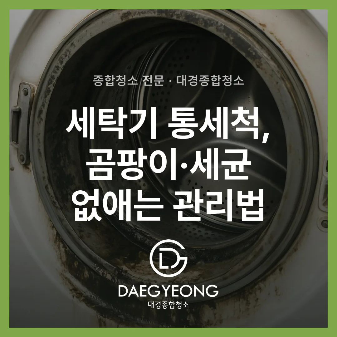 세탁기 통세척, 곰팡이·세균 없애는 관리법
