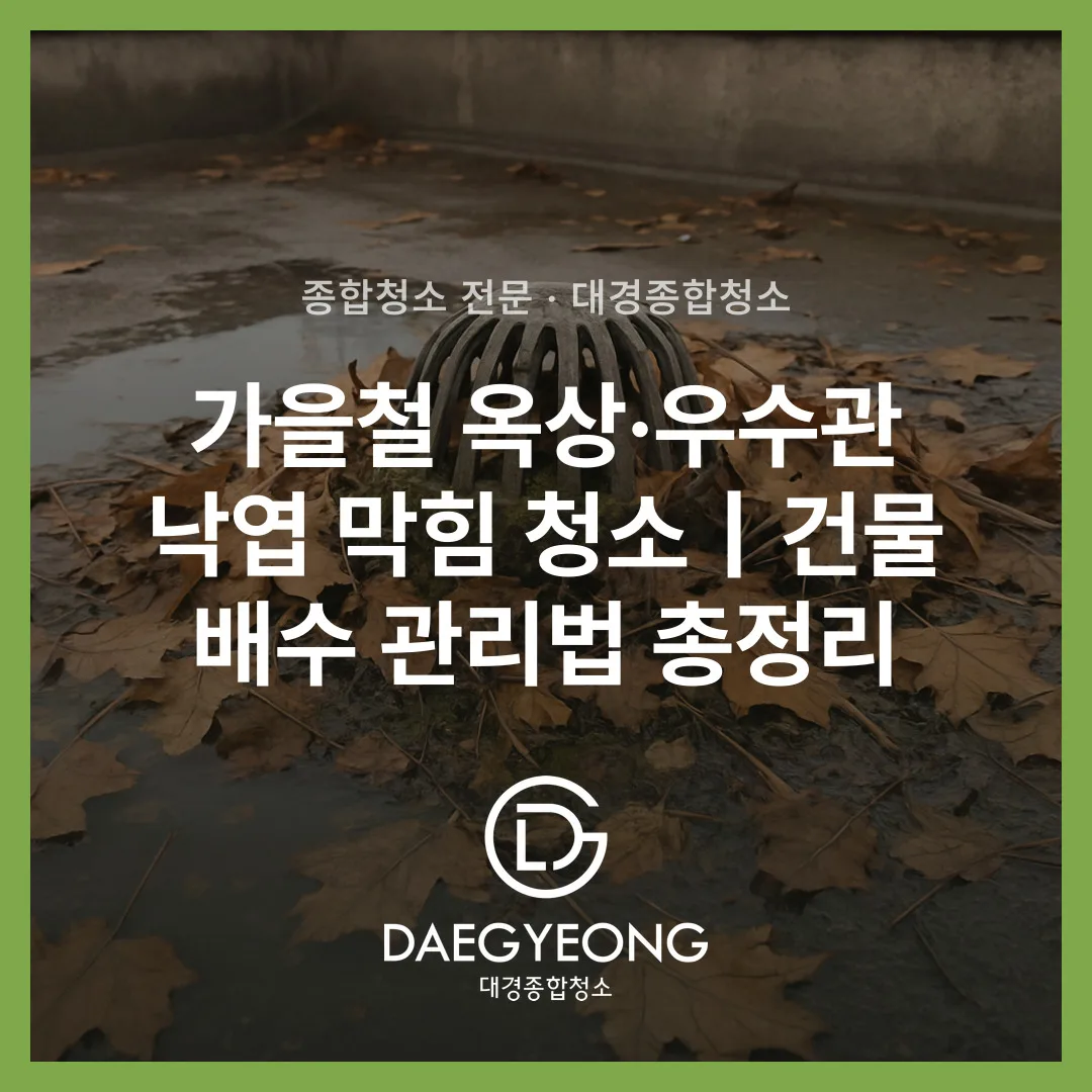 가을철 옥상·우수관 낙엽 막힘 청소｜건물 배수 관리법 총정리