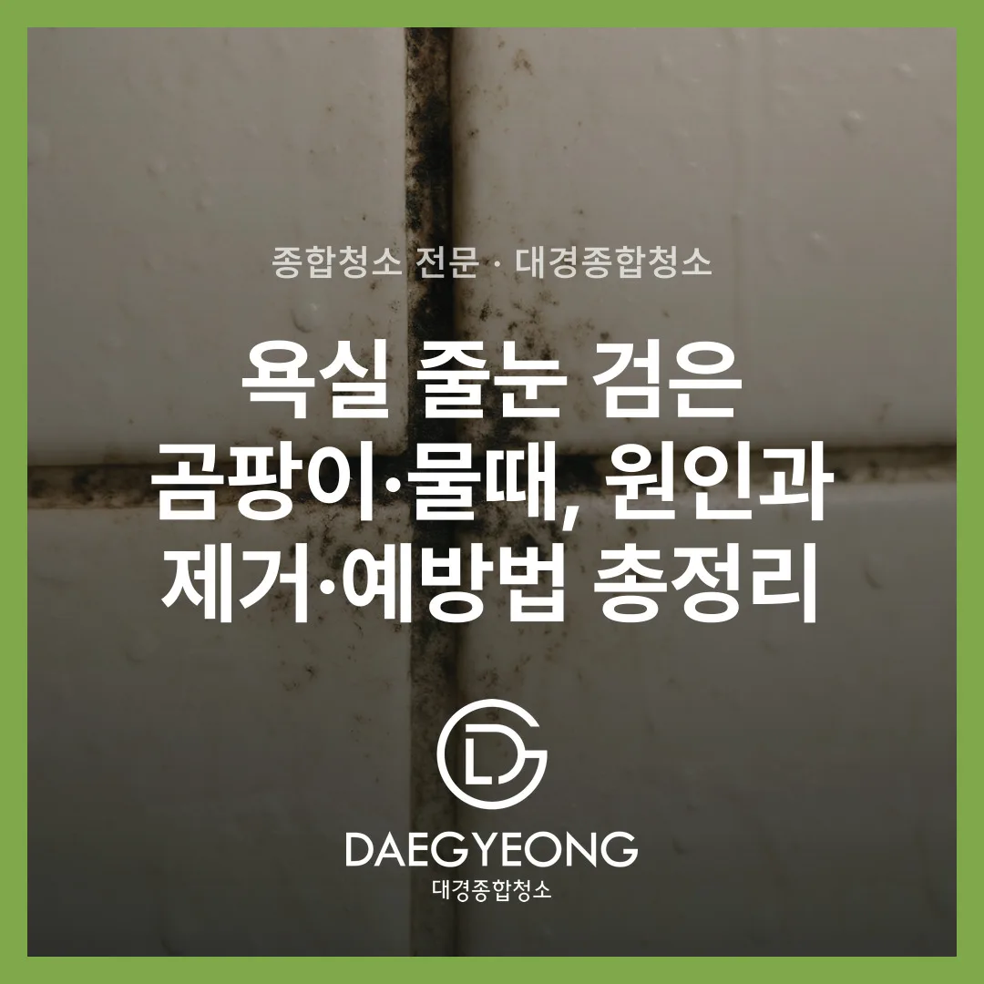 욕실 줄눈 검은 곰팡이·물때, 원인과 제거·예방법 총정리