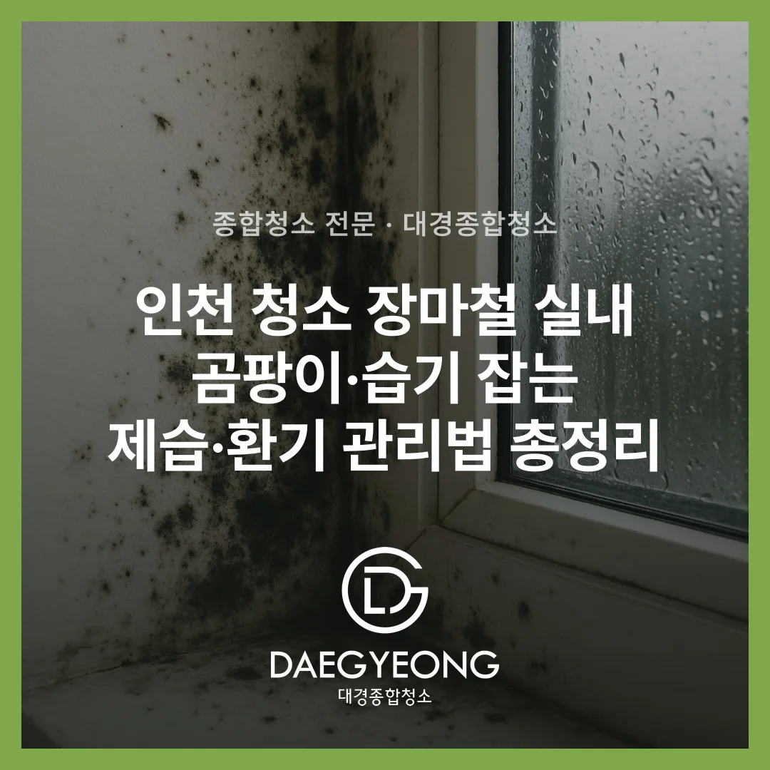 인천 청소 장마철 실내 곰팡이·습기 잡는 제습·환기 관리법 총정리