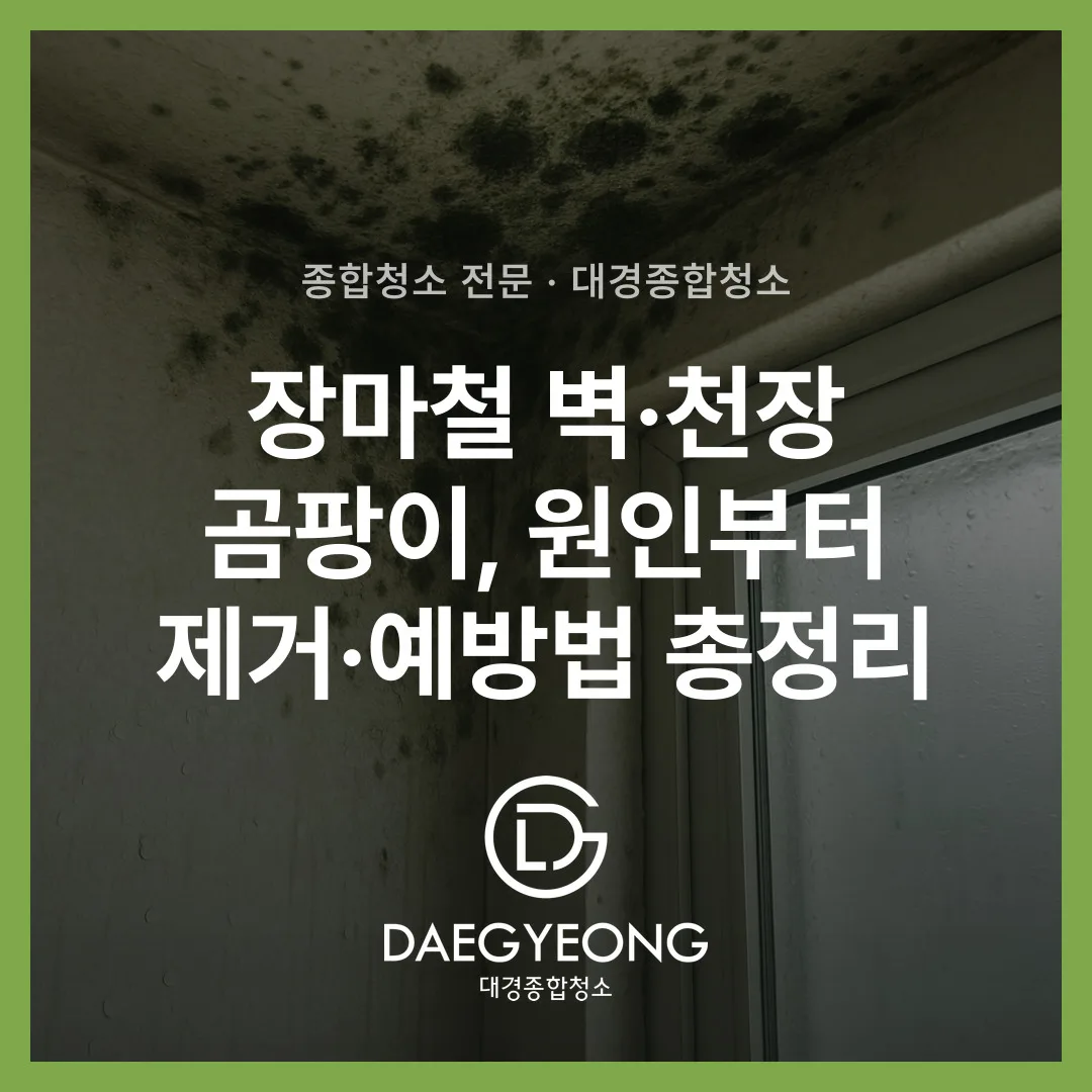 장마철 벽·천장 곰팡이, 원인부터 제거·예방법 총정리