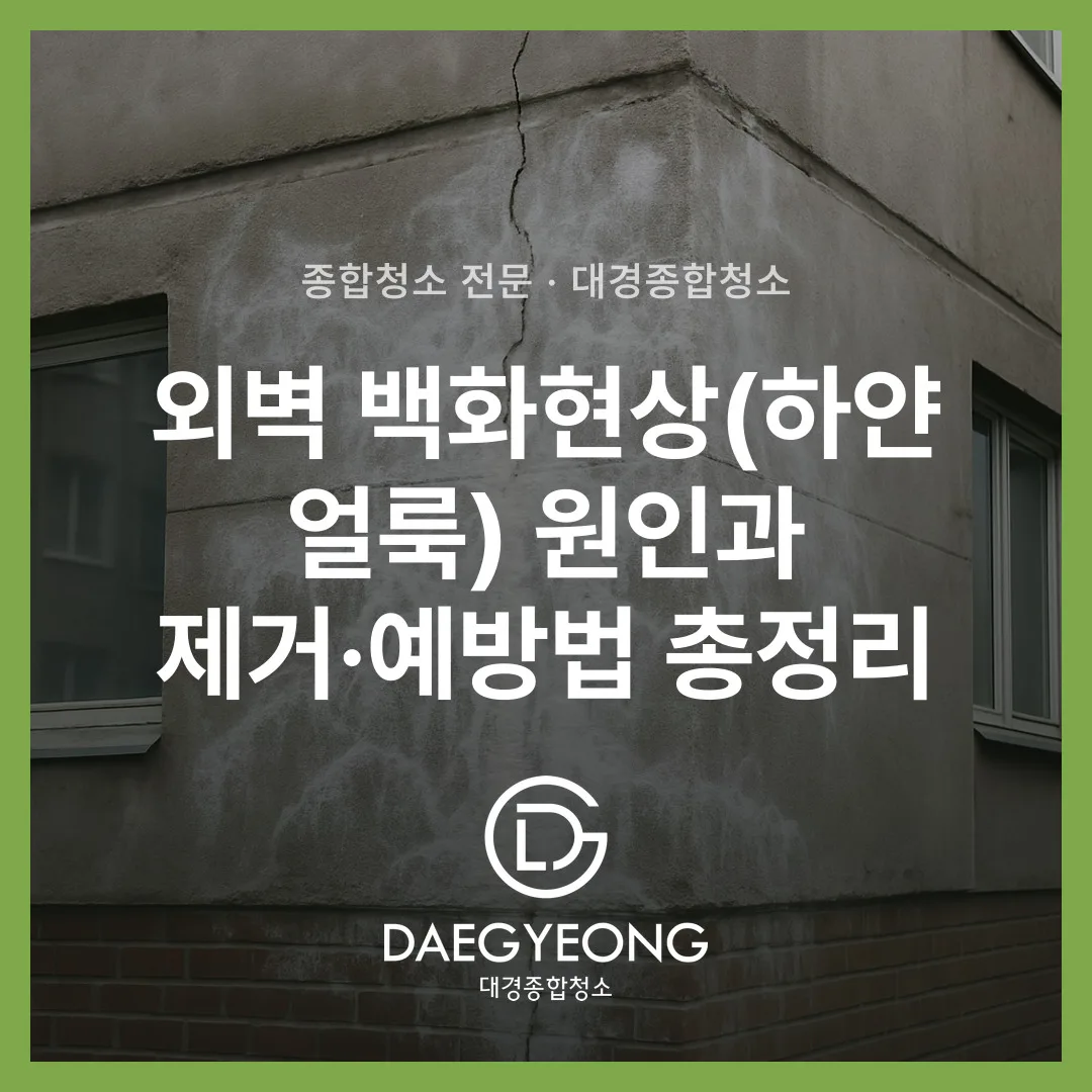 외벽 백화현상(하얀 얼룩) 원인과 제거·예방법 총정리